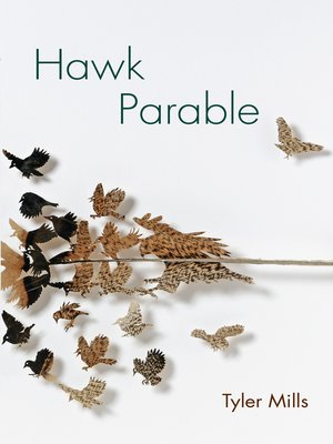 cover image of Hawk Parable
